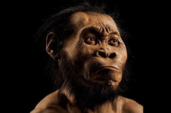 Yeni Bir Fosil Bulundu: Homo Naledi