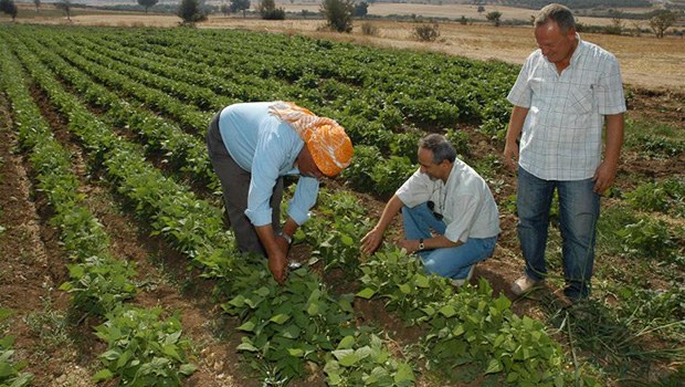 Ödenemeyen kredi miktarı yüzde 348 arttı