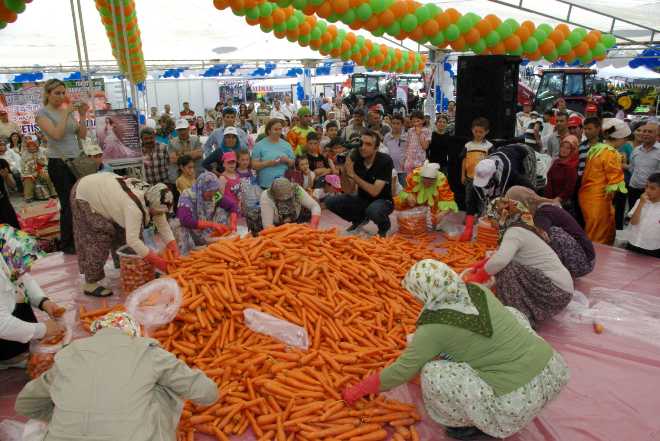 Beypazarı Hasat Günlerine Hazırlanıyor
