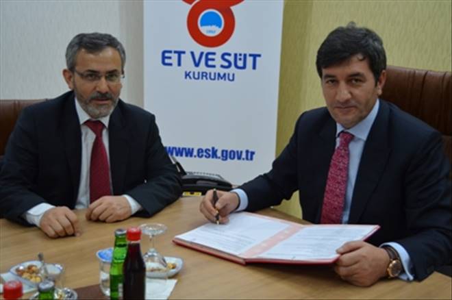 Küçükbaş Hayvan Yetiştiricilerine  Eskdan Pazarlama Desteği