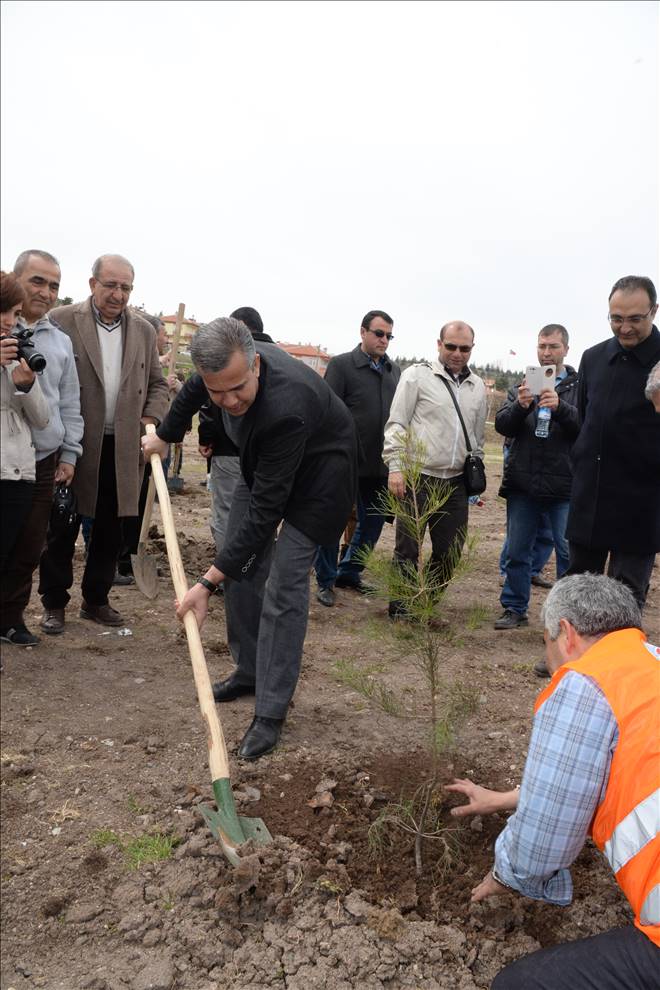  POLATLIYI ORTAYA ÇIKARTACAĞIZ