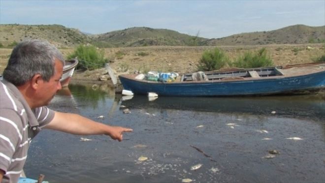 Balık Ölümlerinin Önüne Geçilemiyor