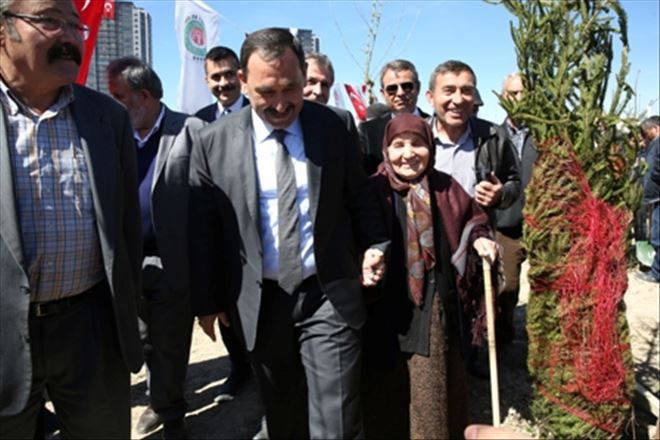 17 ŞUBAT ŞEHİTLERİ ADINA HATIRA ORMANI KURULDU
