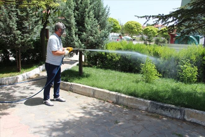 ​SİNEKLE MÜCADELEYE ARALIKSIZ DEVAM EDİYORUZ