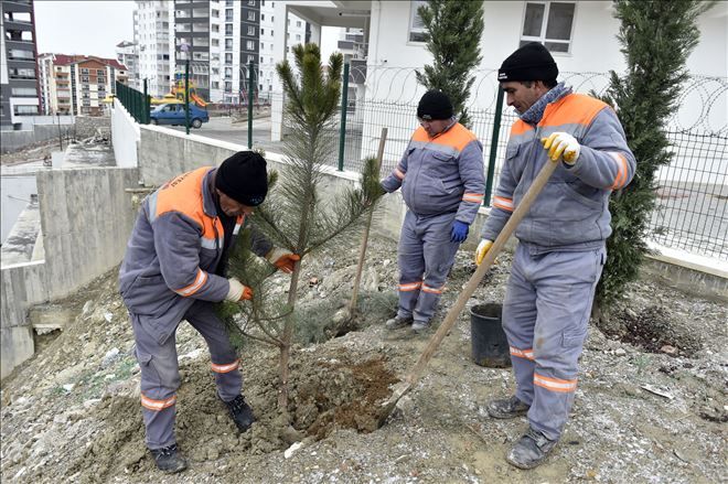 Parklar yeşilleniyor