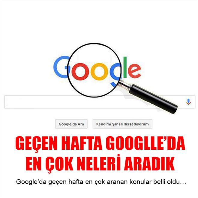 GÜNDEME ‘SOYAĞACI´ DAMGA VURDU 