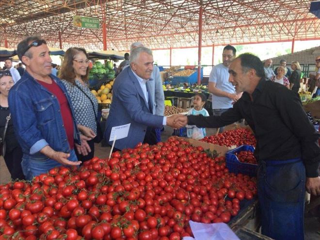 YEŞİL: AYAŞ-BEYPAZARI VE NALLIHAN ÜÇGENİNİN SUYUNU SIKSAK VİTAMİN FIŞKIRACAK!   