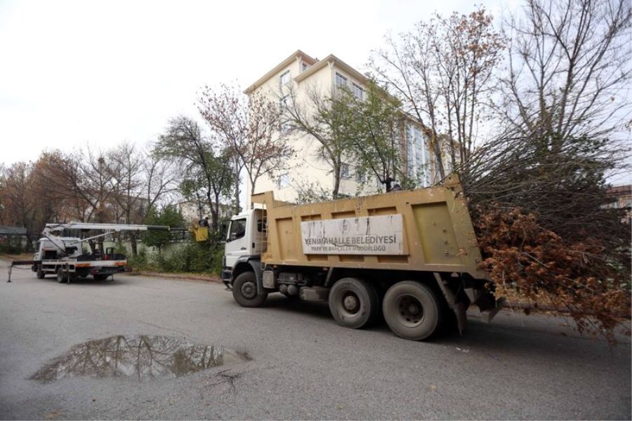 Budanan ağaçlar Yenimahallelilere yakacak oluyor