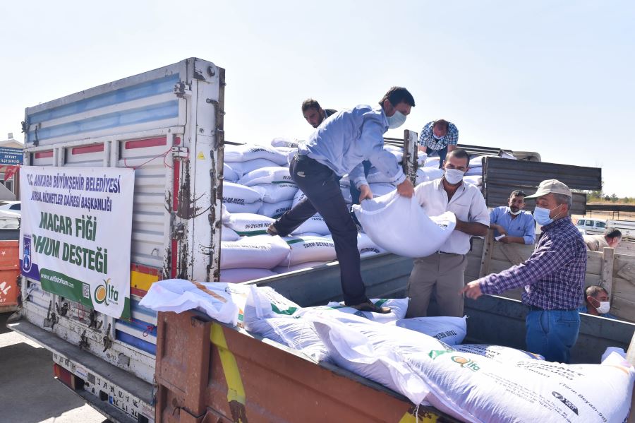 BAŞKENT’TE 25 İLÇENİN TOPRAĞI TOHUMLA BULUŞUYOR
