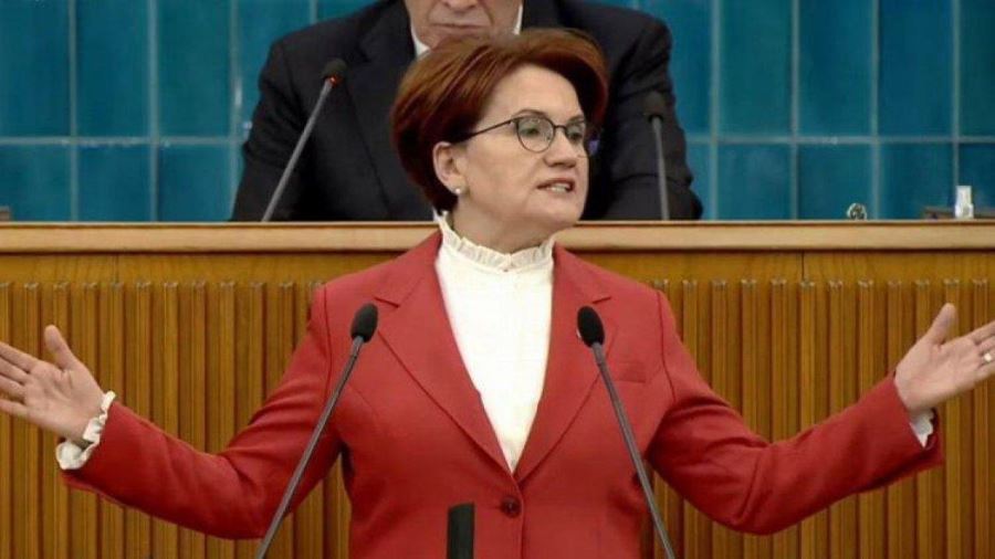 Akşener AOÇ Tarım Bilimleri Akademisi projesini duyurdu