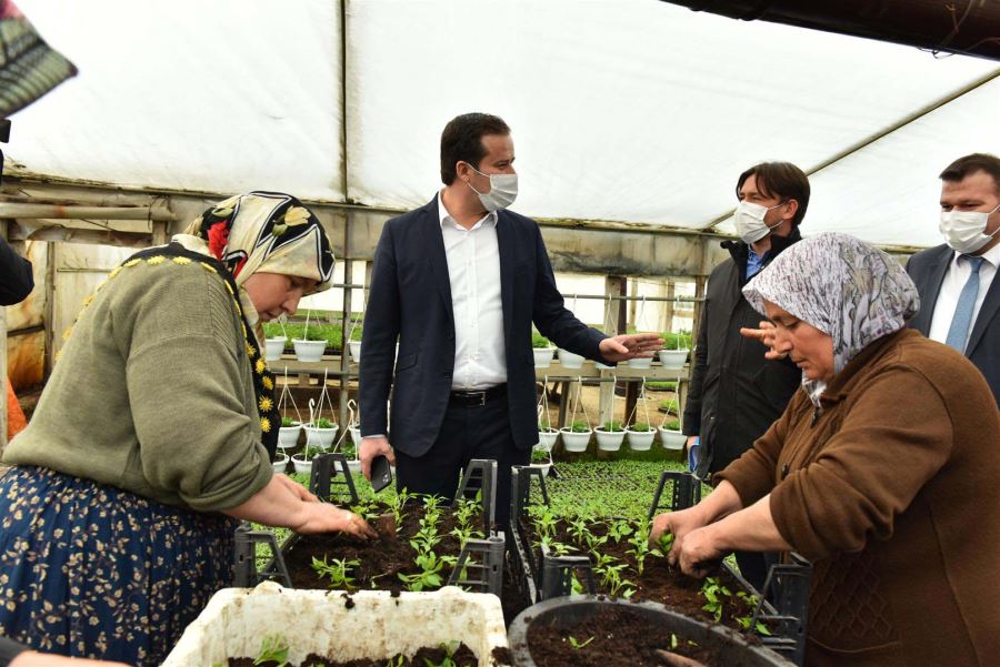 ANKARA’DA SÖZLEŞMELİ ÇİÇEK ÜRETİCİLİĞİ DÖNEMİ BAŞLIYOR