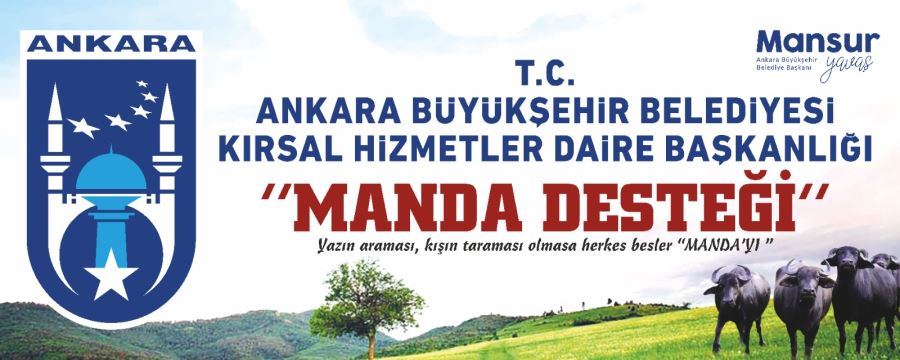 BÜYÜKŞEHİR’DEN  MANDA DESTEĞİ BAŞLIYOR
