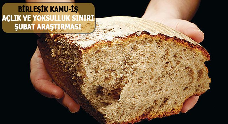BİRLEŞİK KAMU-İŞ AÇLIK VE YOKSULLUK SINIRI ŞUBAT ARAŞTIRMASI  