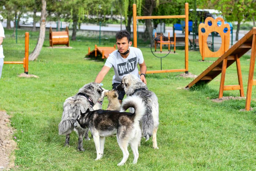 BÜYÜKŞEHİR’DEN HAYVANSEVERLERİ SEVİNDİREN PROJE: PATİ PARKLAR KURULUYOR