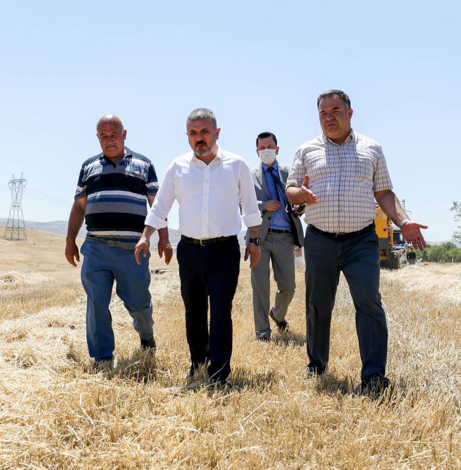 SİNCAN’DA HASAT ZAMANI