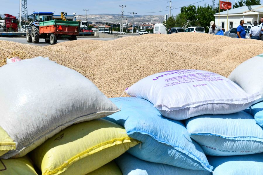 ANKARA BÜYÜKŞEHİR’DEN ŞİMDİ DE NOHUT TOHUMU DESTEĞİ
