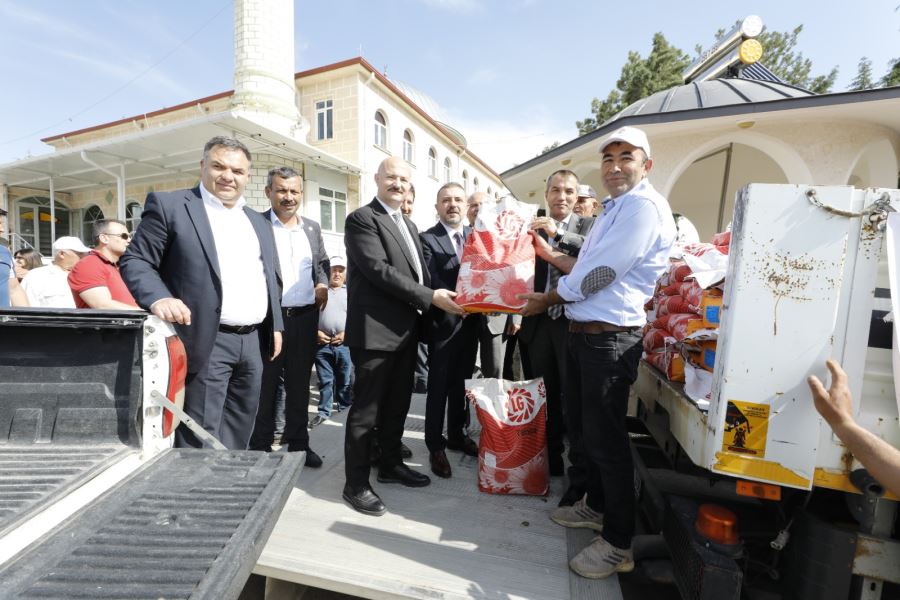SİNCAN BELEDİYESİNDEN YÜZDE 75 HİBELİ YAĞLIK AYÇİÇEK TOHUM DESTEĞİ