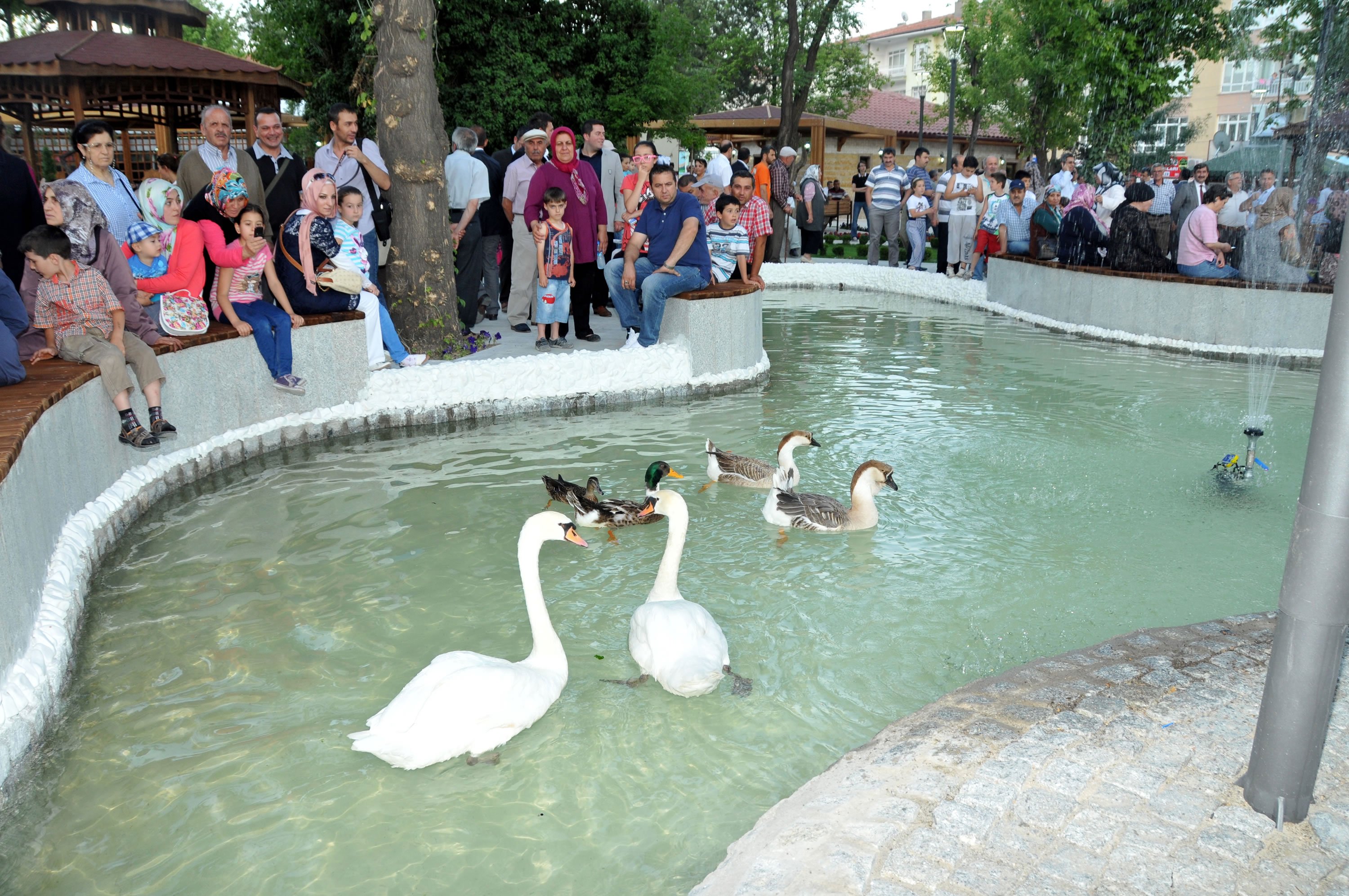 Yeni kuğulu parkı Keçiören?de