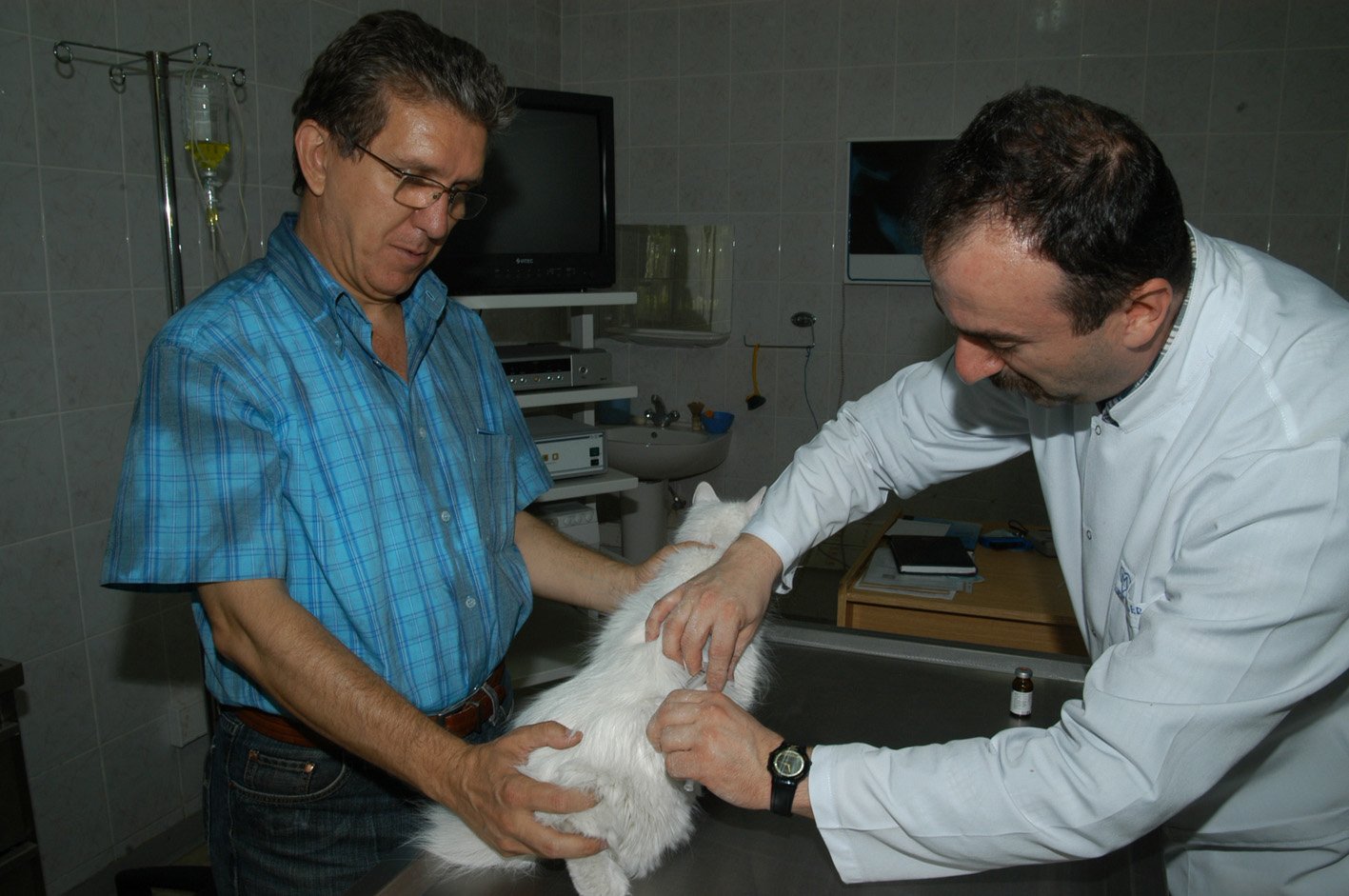 ?KEDİ VE KÖPEKLERİNİZİ AŞILATMAYI İHMAL ETMEYİN...?