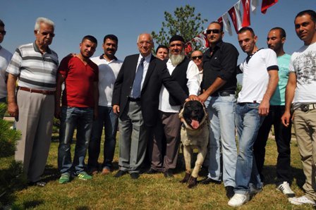 Heybetleri ile göz doldurdular