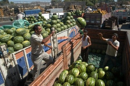 BAŞKENTLİLERİN YAZ TERCİHİ ŞEFTALİ VE KARPUZ OLDU