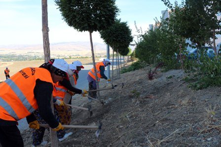 Elmadağ da Sonbahar temizliği