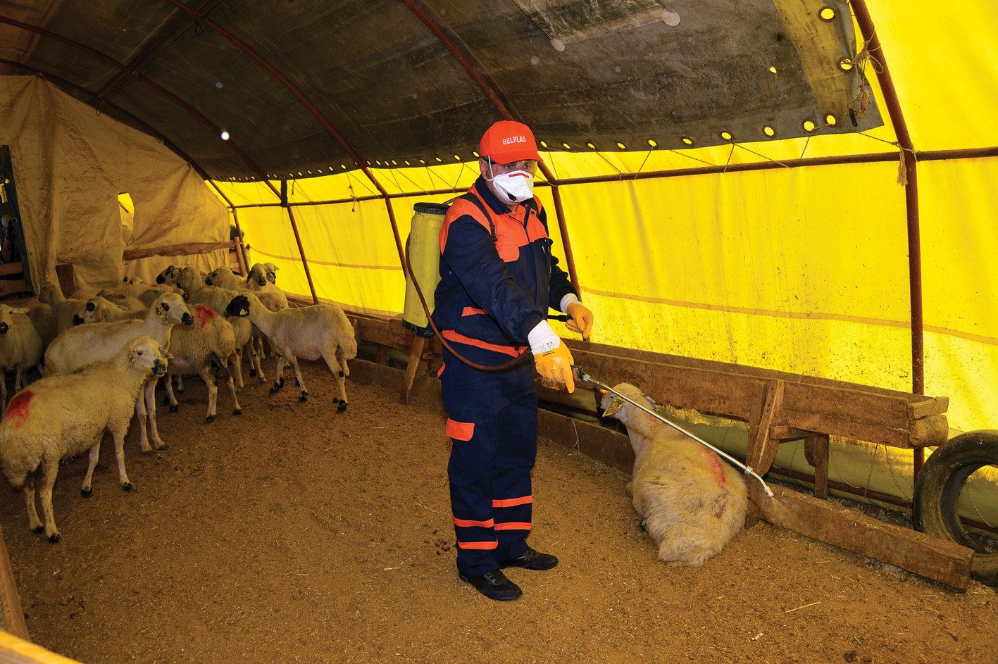 BÜYÜKŞEHİR, KURBAN SATIŞ YERLERİNİ SÜREKLİ İLAÇLIYOR