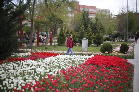  SİNCAN, BAHARI LALELERLE KARŞILIYOR