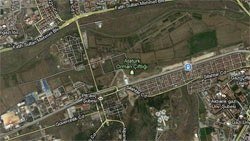 10 Bin Ağacı Saray İçin Taşıdılar  