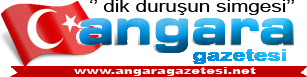 Angara Gazetesi