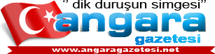 Angara Gazetesi